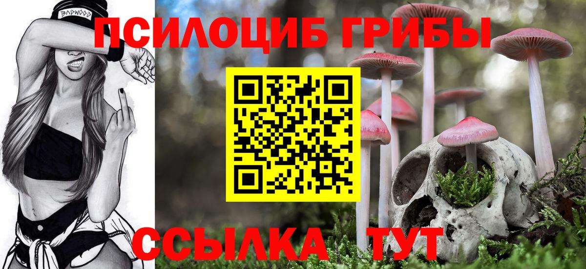 Моздок  Галлюциногенные грибы прущие грибы  Вход с VPN  Псилоцибиновые грибы GOLDEN TEACHER 