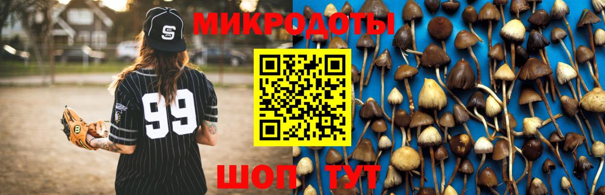 Псилоцибиновые грибы Psilocybe Моздок